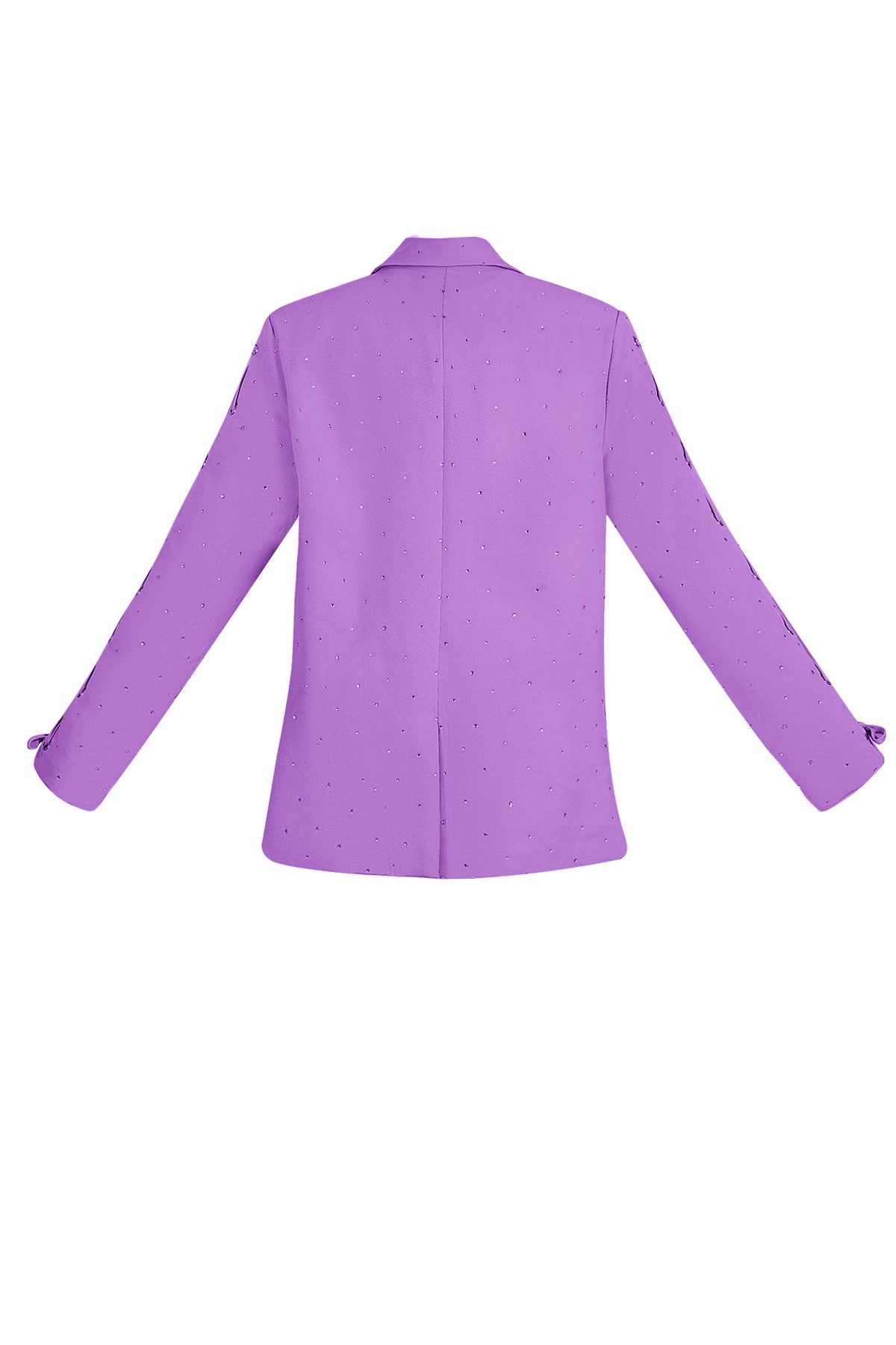 Blazer met steentjes en vetermouwen