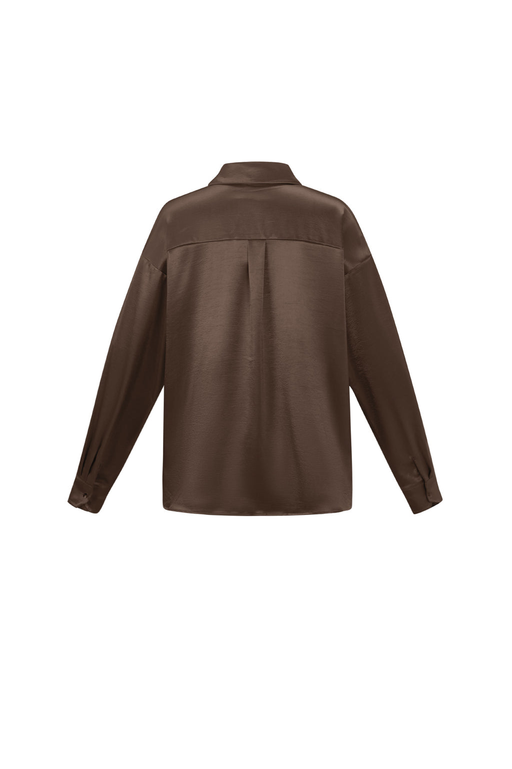 Gewebtes Damenhemd mit Glanz | Casual Basic