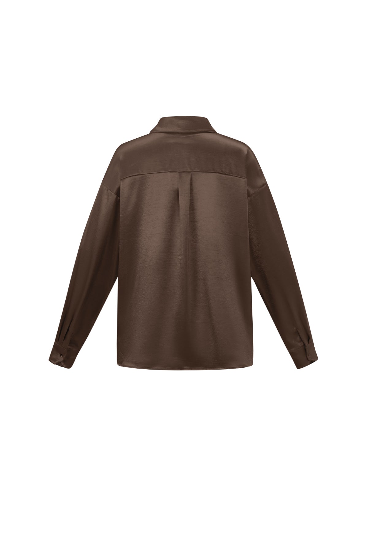 Gewebtes Damenhemd mit Glanz | Casual Basic