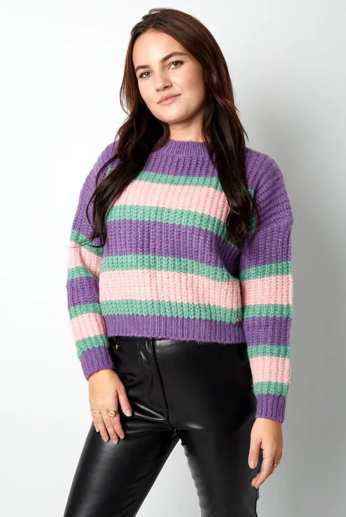 Cropped striped sweater for women
