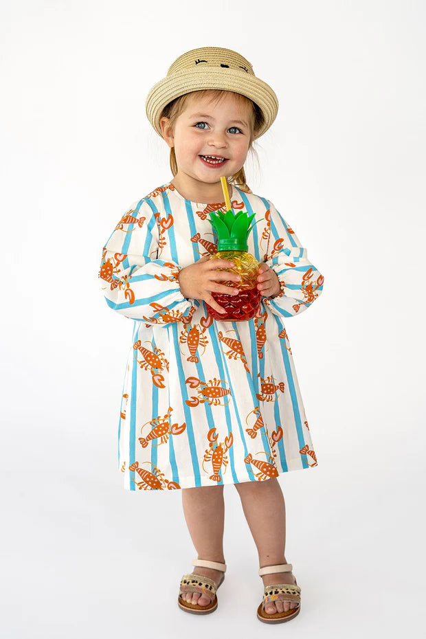Katoenen Jurk Meisjes | Kreeft & Strepen Print | Lange Mouwen
