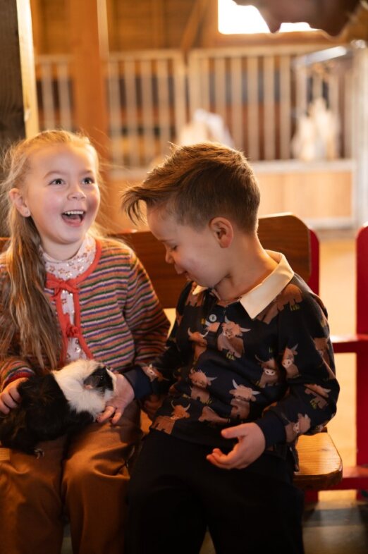 Polo-Sweater für Jungen mit Kuhdruck