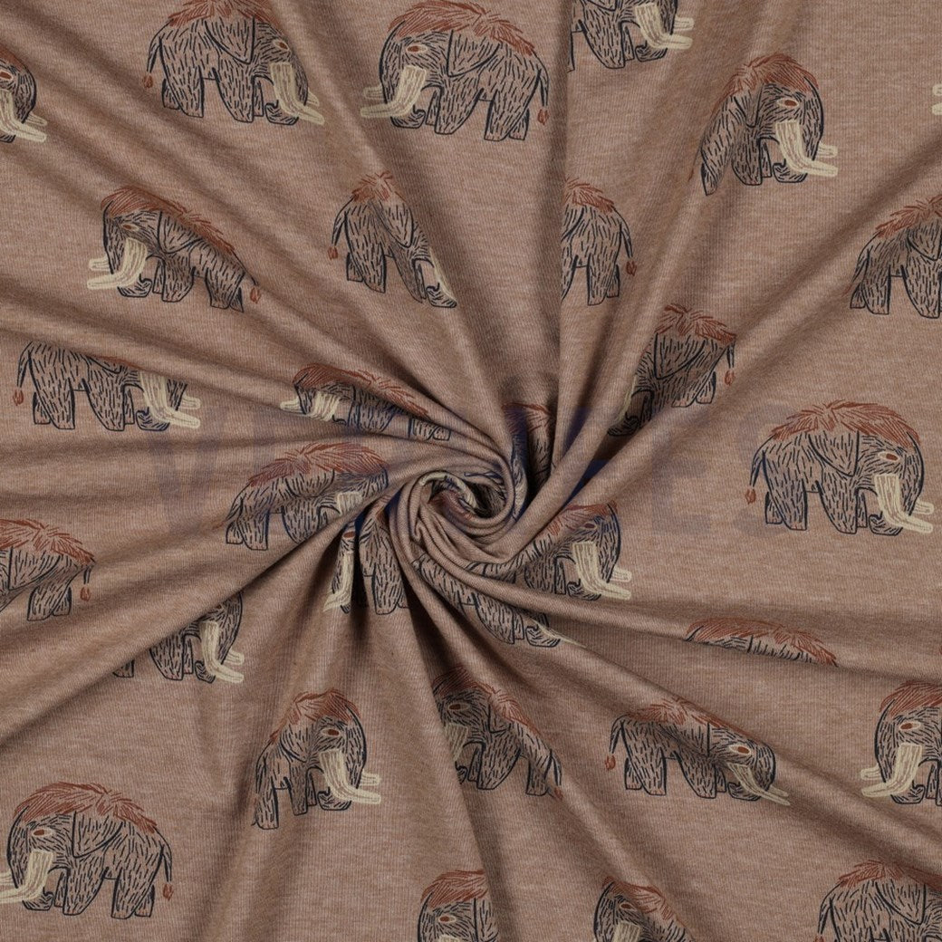 Langarmshirt Mammut-Print