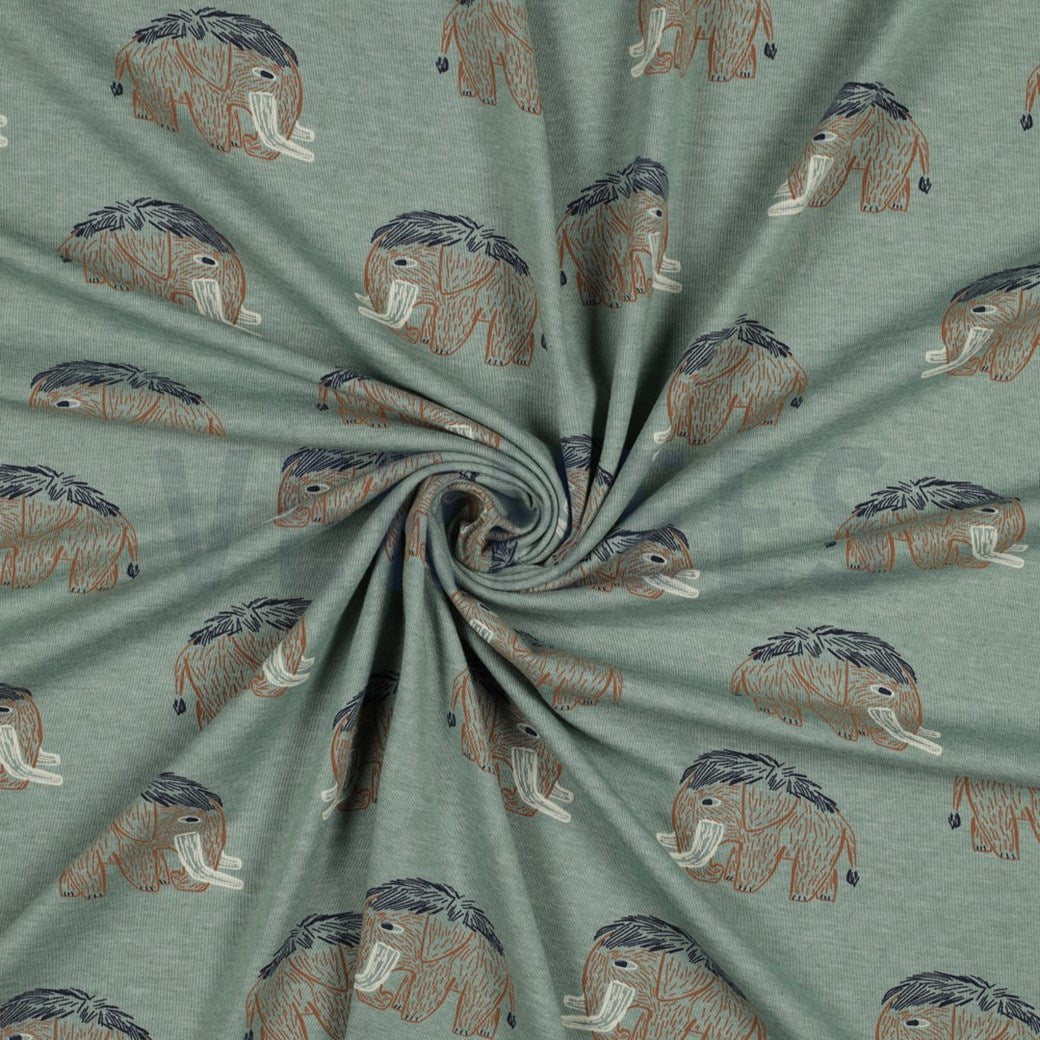 Langarmshirt Mammut-Print
