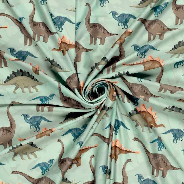 Badeanzug Jungen Dinos | Größen 80-140 | Colors Store