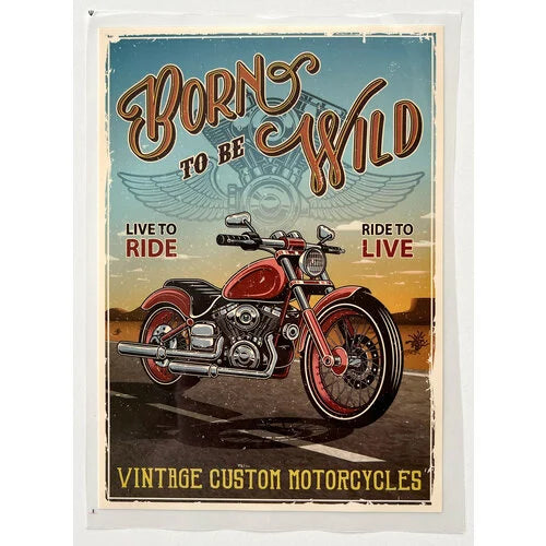Boys t-shirt Born to be Wild