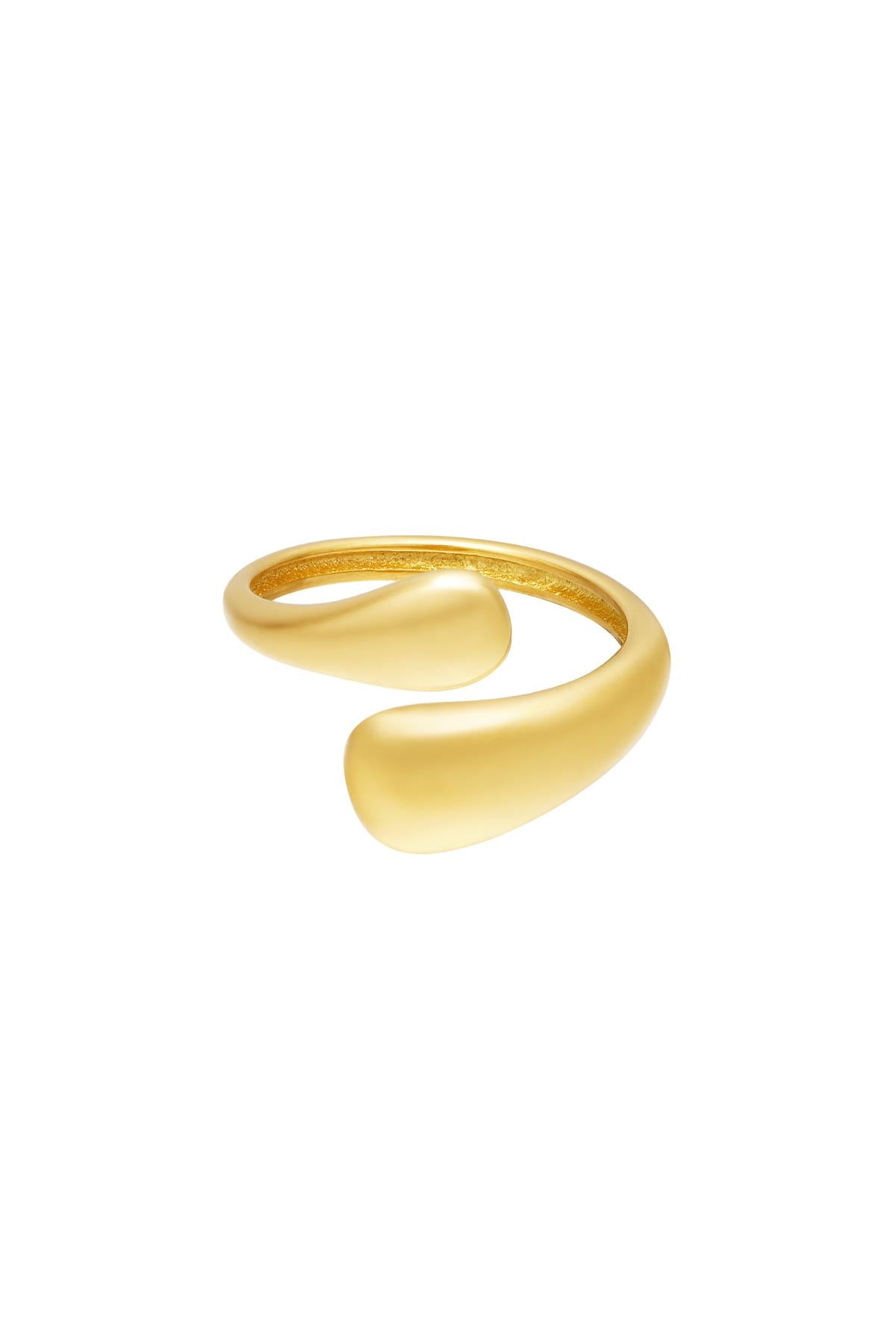 Tweekleurige roestvrijstalen ring Ring Ring Goud kleur Stainless Steel One size
