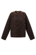 Stylish Leopard Print Knit Sweater for Fall/Winter